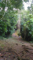 Prêcheur - Grand'Rivière Prêcheur - Grand'Rivière