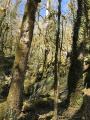 La Vallée Sauvage du Dadou La Vallée Sauvage du Dadou