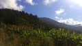 Le tour de la Forêt Départemento-Domaniale des Makes Le tour de la Forêt Départemento-Domaniale des Makes