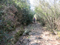Descente dans les cailloux Descente dans les cailloux