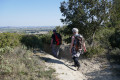 Descente vers Sernhac Descente vers Sernhac