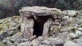Les Dolmens de la Grande Pallières Les Dolmens de la Grande Pallières