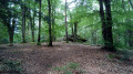 Le Dolmen Chevresse en Forêt de Breuil-Chenue Le Dolmen Chevresse en Forêt de Breuil-Chenue