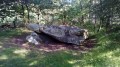 Le Dolmen de la Pierre Ardoue Le Dolmen de la Pierre Ardoue