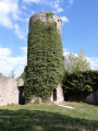 Donjon de Sausenburg Donjon de Sausenburg