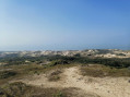 Entre dunes et forêt à Ecault Entre dunes et forêt à Ecault