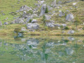 Le Lac des Fées Le Lac des Fées