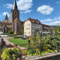 Circuit découverte de la ville de Wissembourg et son vignoble Circuit découverte de la ville de Wissembourg et son vignoble