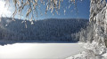 La Bresse par le Lac des Corbeaux et l'Étang de Sèchemer La Bresse par le Lac des Corbeaux et l'Étang de Sèchemer