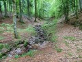 Les Chaumes de Balveurche Les Chaumes de Balveurche