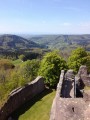 Les ruines du Château de Geroldseck (Schonberg) Les ruines du Château de Geroldseck (Schonberg)