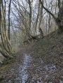 En longeant la vallée de la Hazienne En longeant la vallée de la Hazienne