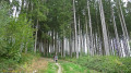Boucles à l'ouest de Bouillon le long de la Semois Boucles à l'ouest de Bouillon le long de la Semois