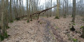 En forêt de Berru En forêt de Berru