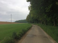 Entre bois et champs (Wihogne) Entre bois et champs (Wihogne)