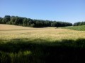Les Coteaux de la Juine Les Coteaux de la Juine