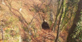 Entrée de la grotte Huellee Entrée de la grotte Huellee