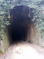 Le tour d’Alzon via tunnels et viaducs Le tour d’Alzon via tunnels et viaducs