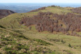 Crête de Cournudère ou Cornudère ou Cap des Teches Crête de Cournudère ou Cornudère ou Cap des Teches
