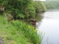 Les eaux dormantes de Marcilly-en-Gault Les eaux dormantes de Marcilly-en-Gault