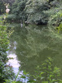 Etang de la Julienne Etang de la Julienne