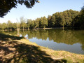 La châtaigneraie parlycoise La châtaigneraie parlycoise