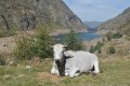 Pic de la Soucarrane Pic de la Soucarrane