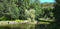 Etang du Moulin Hideux Etang du Moulin Hideux