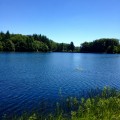 Forêt de Planoise et Etang du Martinet Forêt de Planoise et Etang du Martinet
