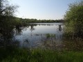 Etang près du château de la Grillère Etang près du château de la Grillère