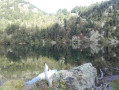 L'Étang de Balbonne L'Étang de Balbonne