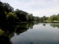 La Forêt de Fausses-Reposes et les Etangs de Ville-d'Avray La Forêt de Fausses-Reposes et les Etangs de Ville-d'Avray