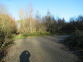 Bois de Bierwart Bois de Bierwart