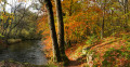 Flirt le long de la Cure... Flirt le long de la Cure...