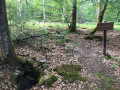 Chemins et sentiers de la Forêt de Tronçais à Meaulne-Vitray Chemins et sentiers de la Forêt de Tronçais à Meaulne-Vitray