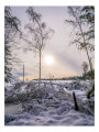 Forêt d'Anglier sous la neige Forêt d'Anglier sous la neige