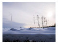 Forêt d'Anglier sous la neige Forêt d'Anglier sous la neige