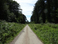 De la forêt de Guines au Lac d'Ardres en longeant les canaux De la forêt de Guines au Lac d'Ardres en longeant les canaux