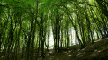 Pic de la Quère Pic de la Quère