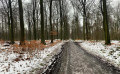 Forêt en hiver Forêt en hiver