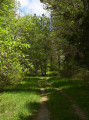 Fraîcheur forestière Fraîcheur forestière