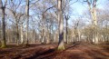 L'Etang Neuf, le Haut Beaussart et le Bois des Longues Mares L'Etang Neuf, le Haut Beaussart et le Bois des Longues Mares