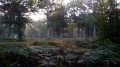 Bornes armoriées en Forêt de Rambouillet Bornes armoriées en Forêt de Rambouillet