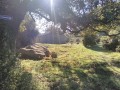 Giuncheto : boucle par la Punta di Pintone Giuncheto : boucle par la Punta di Pintone
