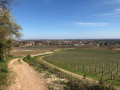 La Chaume Sacrée à Givry La Chaume Sacrée à Givry