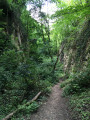 Gorge surprenante au sein de la Montagne St-Pierre Gorge surprenante au sein de la Montagne St-Pierre