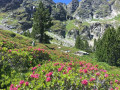 Refuge des Bésines - L'Hospitalet près l'Andorre Refuge des Bésines - L'Hospitalet près l'Andorre
