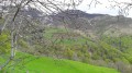 Granges d'Espoune et d'Artigue Bourg sur les pentes du Cabaliros Granges d'Espoune et d'Artigue Bourg sur les pentes du Cabaliros