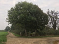 Heure-le-Romain : Croix d'occis Heure-le-Romain : Croix d'occis