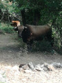 un peu de compagnie un peu de compagnie